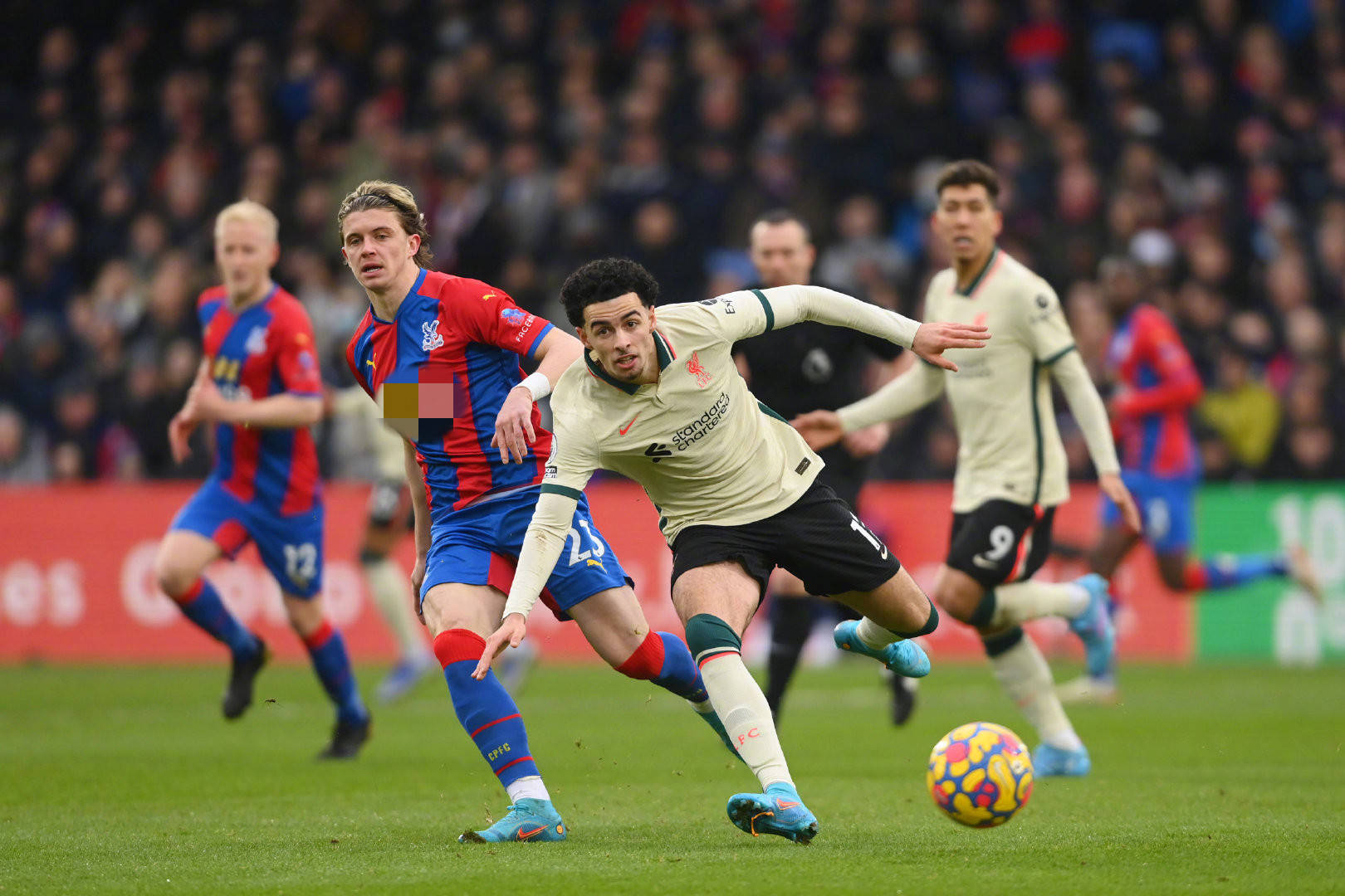 谷爱凌夺得 谷爱凌夺得